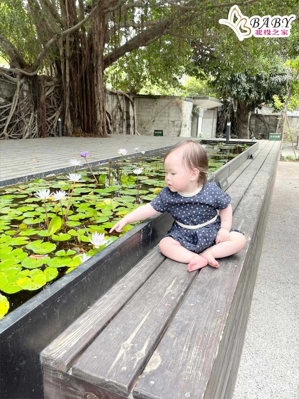 蚵仔煎小朋友在台南水交社文化園區好奇地觀察著水池裡的花朵，感受自然的美好。