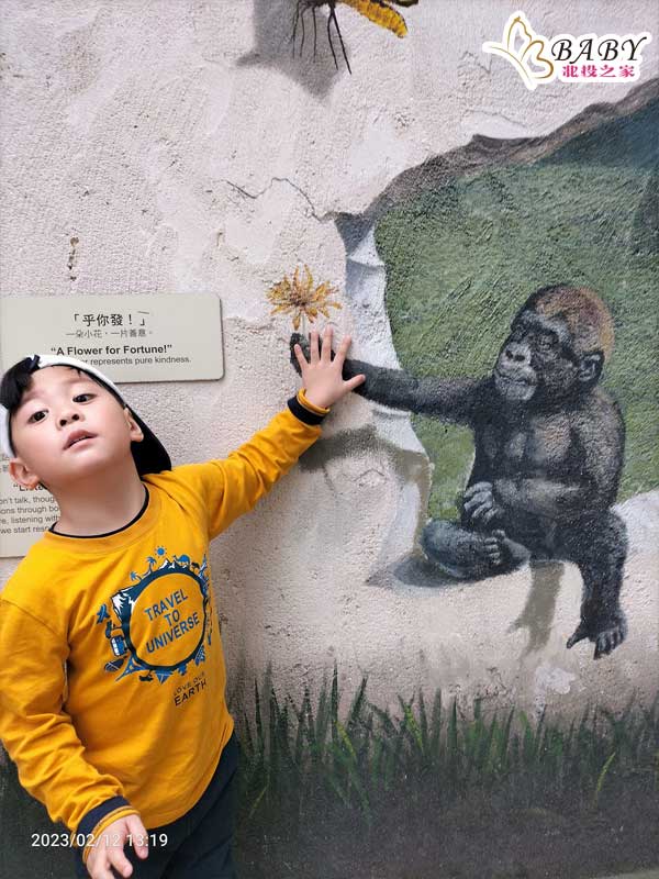 臺北市立動物園猩猩

豬弟弟來到臺北市立動物園猩猩區，看到一隻壁畫的猩猩向他招手，豬弟弟馬上和牠擊掌，好開心喔！