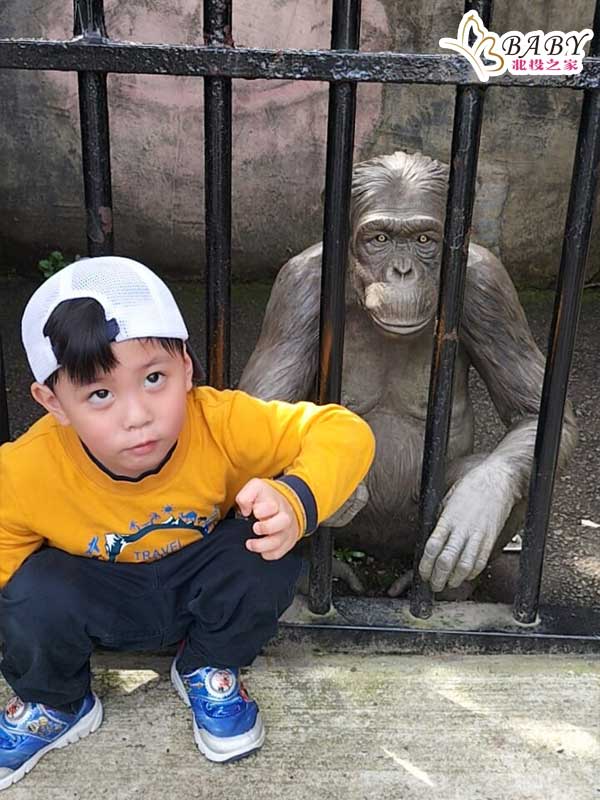 但後來才發現那只猩猩是石雕像，無法解救。雖然失望，但豬弟弟很開心能夠來到臺北市立動物園觀察各種動物，並學習如何尊重和保護牠們的生命。