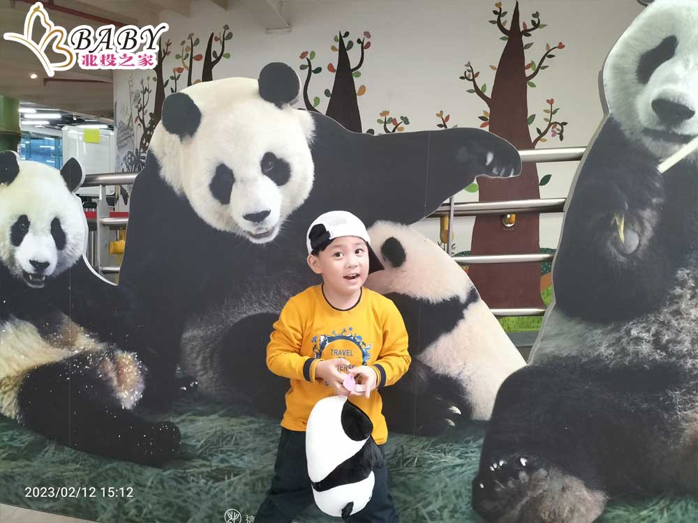 豬弟弟來到臺北市立動物園大貓熊館，看到一群可愛的貓熊，馬上和它們合照，豬弟弟的可愛度甚至超越了貓熊們，吸引了許多人的目光。