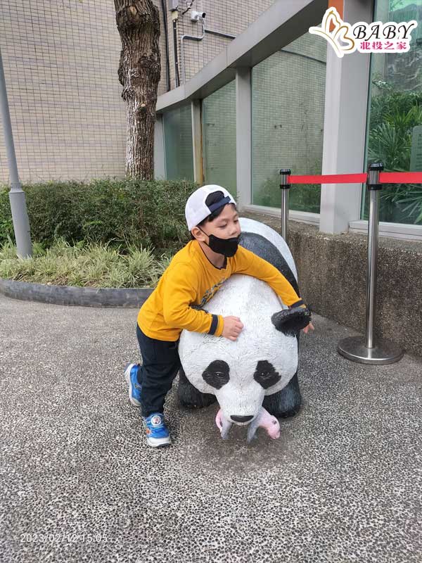 豬弟弟在臺北市立動物園大貓熊館看到了一對可愛的大貓熊母子，母貓熊十分用心地照顧小貓熊，豬弟弟也想跟著學習如何照顧