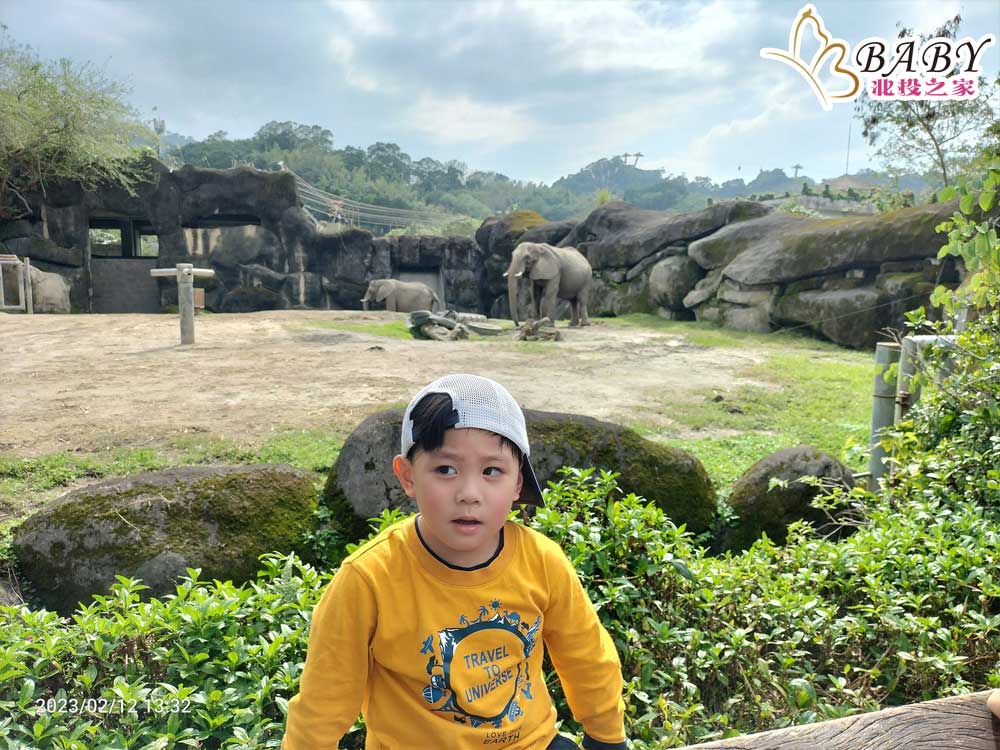 臺北市立動物園大象

來到臺北市立動物園，看到了超可愛的大象。牠們身上的長鼻子好厲害，還會用來吸水喔！