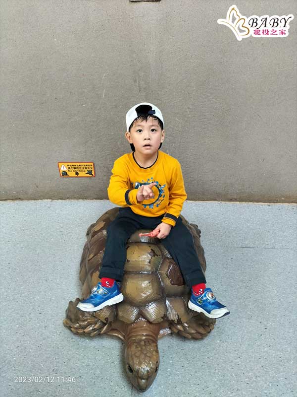 豬弟弟來到臺北市立動物園兩棲爬蟲動物館，看見了一隻巨大的海龜，馬上與牠合照，留下美好的回憶。