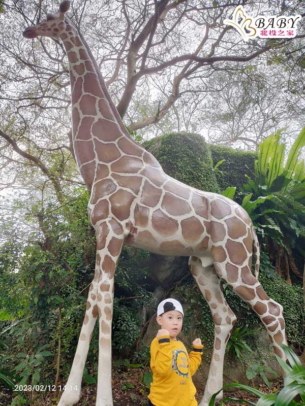 他非常開心地與臺北市立動物園長頸鹿合照，留下了難忘的回憶。