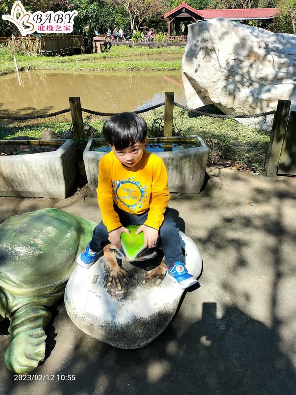 拍照時坐在大海蛙身上，真的很有趣！在臺北市立動物園兩棲爬蟲動物館，不只有海龜、蟾蜍等生物，還有很多有趣的展覽和活動，讓人願意一來再來。