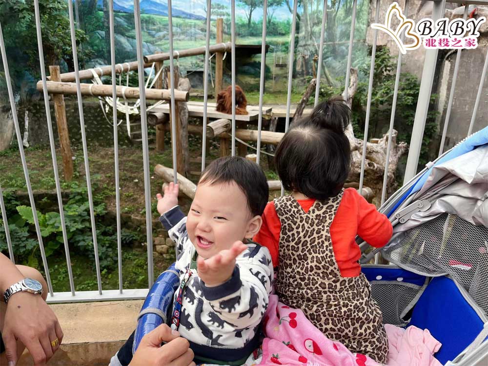 真的孩子看到動物就是開心🥳
開心到不想離開新竹市立動物園了啦！