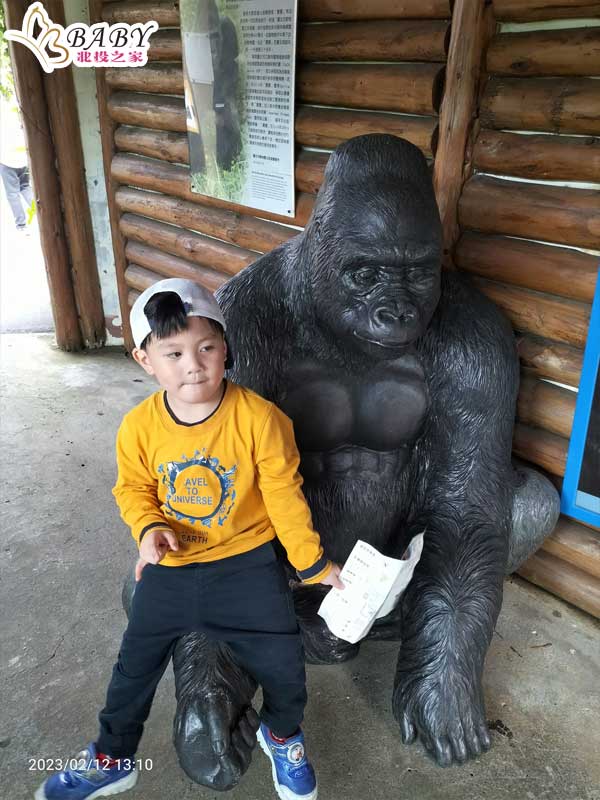 臺北市立動物園也有猩球崛起中的巨大猩猩石雕像，忍不住拿起相機幫豬弟弟拍下這珍貴的瞬間。臺北市立動物園不僅有真實的猩猩，還有讓人嘆為觀止的石雕藝術品。