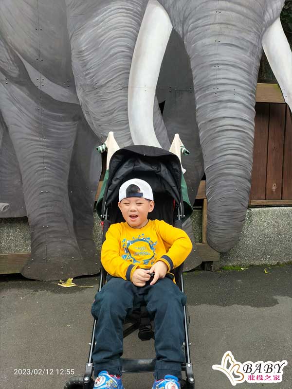 在台北市立動物園的大象館，豬弟弟看到了超可愛的大象。豬弟弟也和大象合照留下了美好的回憶。