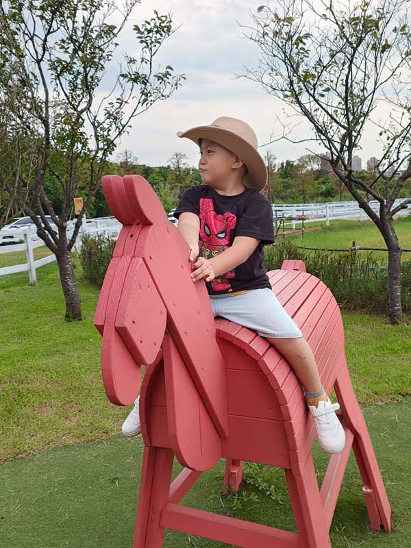 新北三芝牛仔莊園-發現三芝親子景點的樂趣,親子樂趣無窮|豬弟弟|北投之家分享寶寶喜悅|北投之家 新北三芝牛仔莊園|發現三芝親子景點的樂趣,親子樂趣無窮02
在新北三芝牛仔莊園,大小朋友都能找到適合自己的玩樂設施。例如,豬弟弟換上了一個更大的木馬。新北三芝牛仔莊園的木馬以精緻的木工技藝和人性化的設計,讓小朋友們能在安全且舒適的環境下,體驗到騎馬的樂趣。