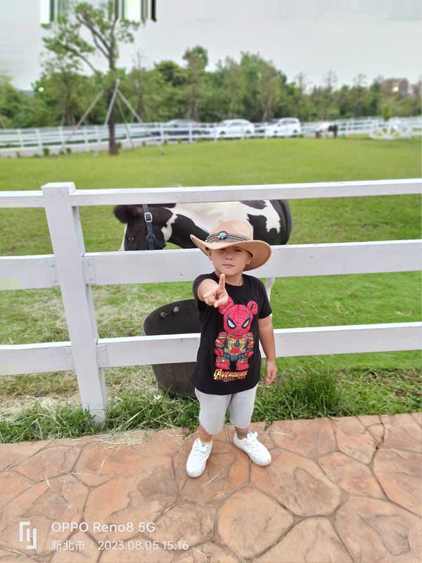 新北三芝牛仔莊園-發現三芝親子景點的樂趣,親子樂趣無窮|豬弟弟|北投之家分享寶寶喜悅|北投之家 新北三芝牛仔莊園|評價心得體驗05
最後,我們來到了新北三芝牛仔莊園最有特色的地方,那就是這座擁有像牛般花紋的馬。這正是新北三芝牛仔莊園的特色之一,豬弟弟在這裡與這座特色的馬合影,讓人無法忘懷這裡的獨特與美好。