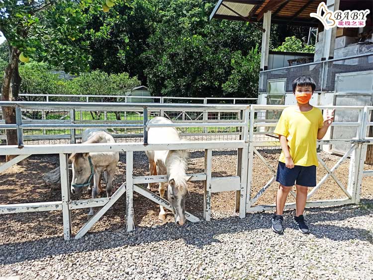 2023桃園親子景點推薦｜想和孩子共度美好時光？看這裡！8個桃園家庭旅遊新選擇｜北投之家推薦桃園景點13
桃園親子景點推薦3：大溪區－蘇家莊園

桃園蘇家莊園是一個兼具親子樂趣與文化體驗的桃園親子景點。在蘇家莊園，不僅可以看到各種動物、欣賞畫展，還可以觀賞各種精彩的收藏品。這裡的環境寧靜優美，充滿了各種自然的風景，讓人能在繁忙的生活中找到一絲的寧靜和悠閒。

閱讀更多👉👉 桃園大溪親子景點｜蘇家莊園-遛小孩、看動物、畫展、收藏品，一次滿足大人小朋友的需求

營業時間:10:00-18:00(週四至週一)
☎️電話：(03)387-3737，線上訂位
🏡地址 : 335桃園市大溪區復興路一段1037號